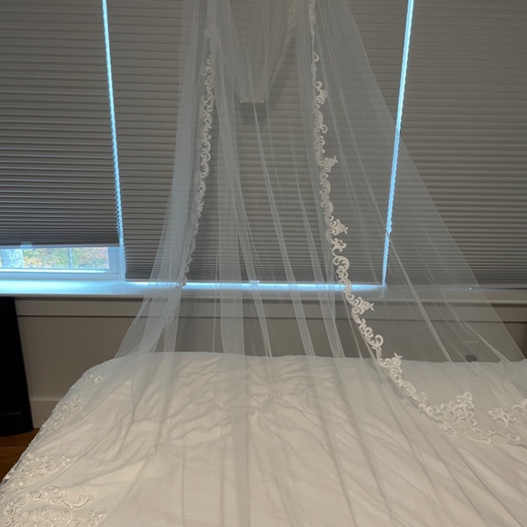 Cathedral veil with lace detail main image 7